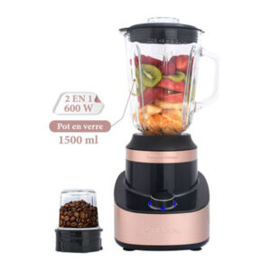 Mixeur 2 en 1 LEXICAL 600 W : Blender 1.5 L + Moulin à épices et café