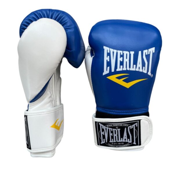 Gants de boxe EVERLAST Premium  bleu 10 OZ
