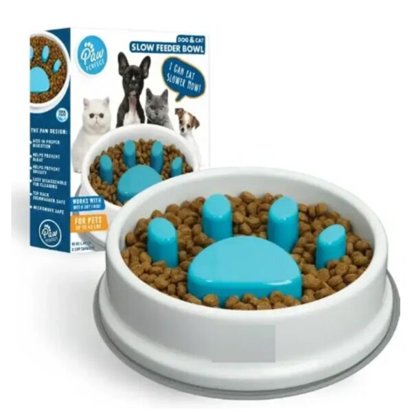 Assiette pour animal