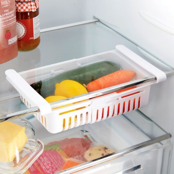 Rack de rangement réfrigérateur SOTUFAB PLAST