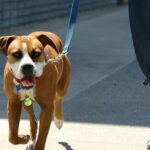 Localisateur d'objets, GPS – Image 4