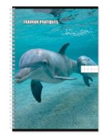 Pack Rentrée Scolaire 3ème & 4ème Année Primaire – Kit Cahiers Officiel – Image 5