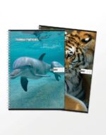 Pack Rentrée Scolaire 6ème Année Primaire – Kit Complet Cahiers + trousse 33 Piéces – Image 3